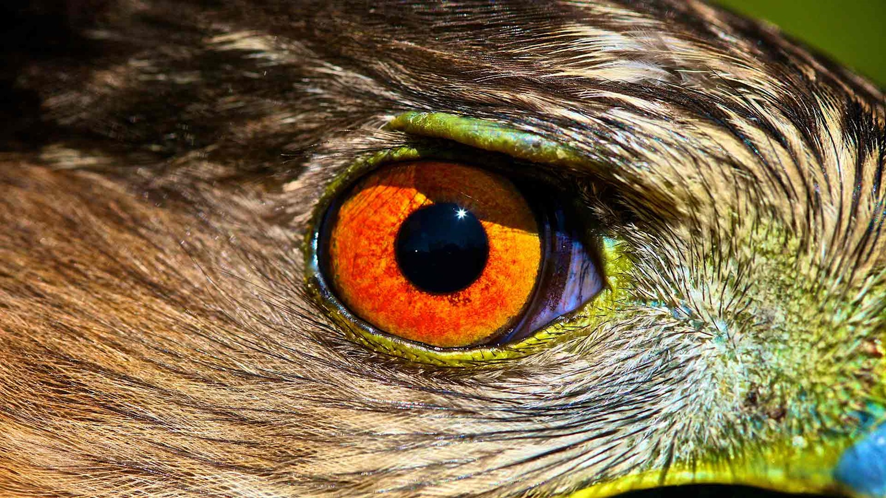 e-CNY surveillance fears are overblown